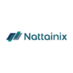 nattainix digital marketing agency