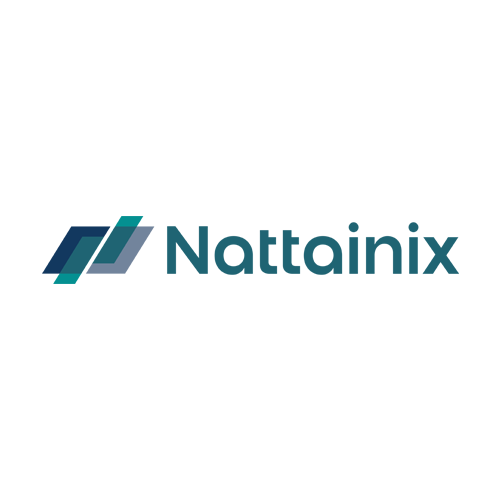 nattainix digital marketing agency